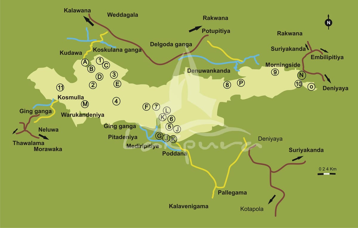 harta e sinharaja Sri Lanka