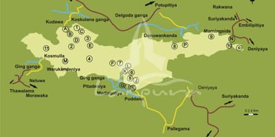 Harta e sinharaja Sri Lanka